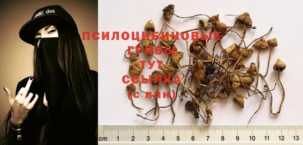 спайс Балабаново