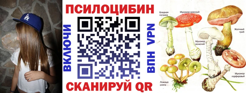 Псилоцибиновые грибы Psilocybe  Купить  Ростов 